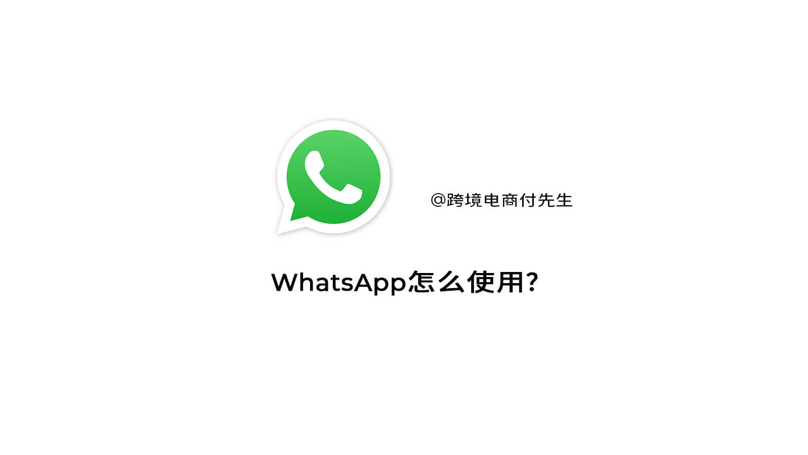 WhatsApp使用教程【2024】