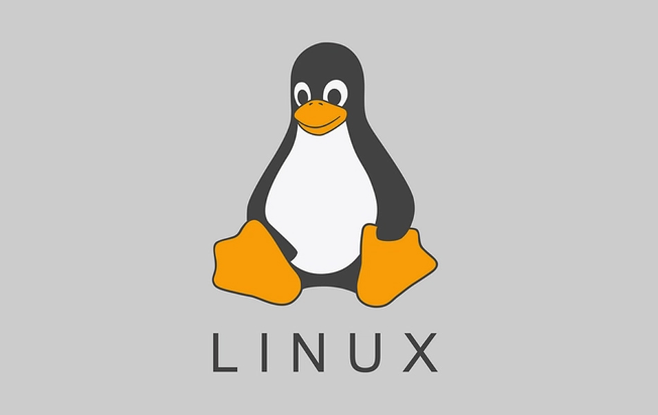 Linux Ubuntu电脑操作系统