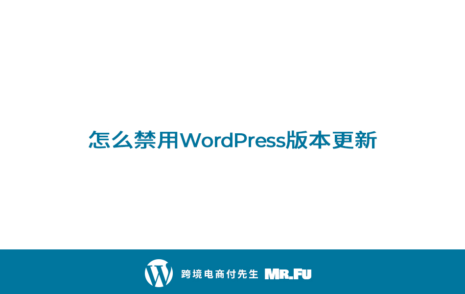 怎么禁用WordPress的自动更新？