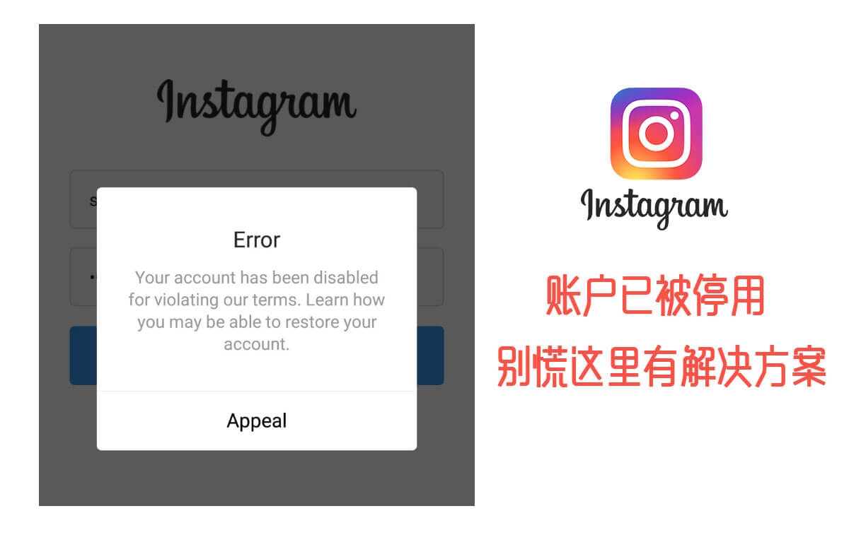 Instagram2020年4月账户被停用解决方案！